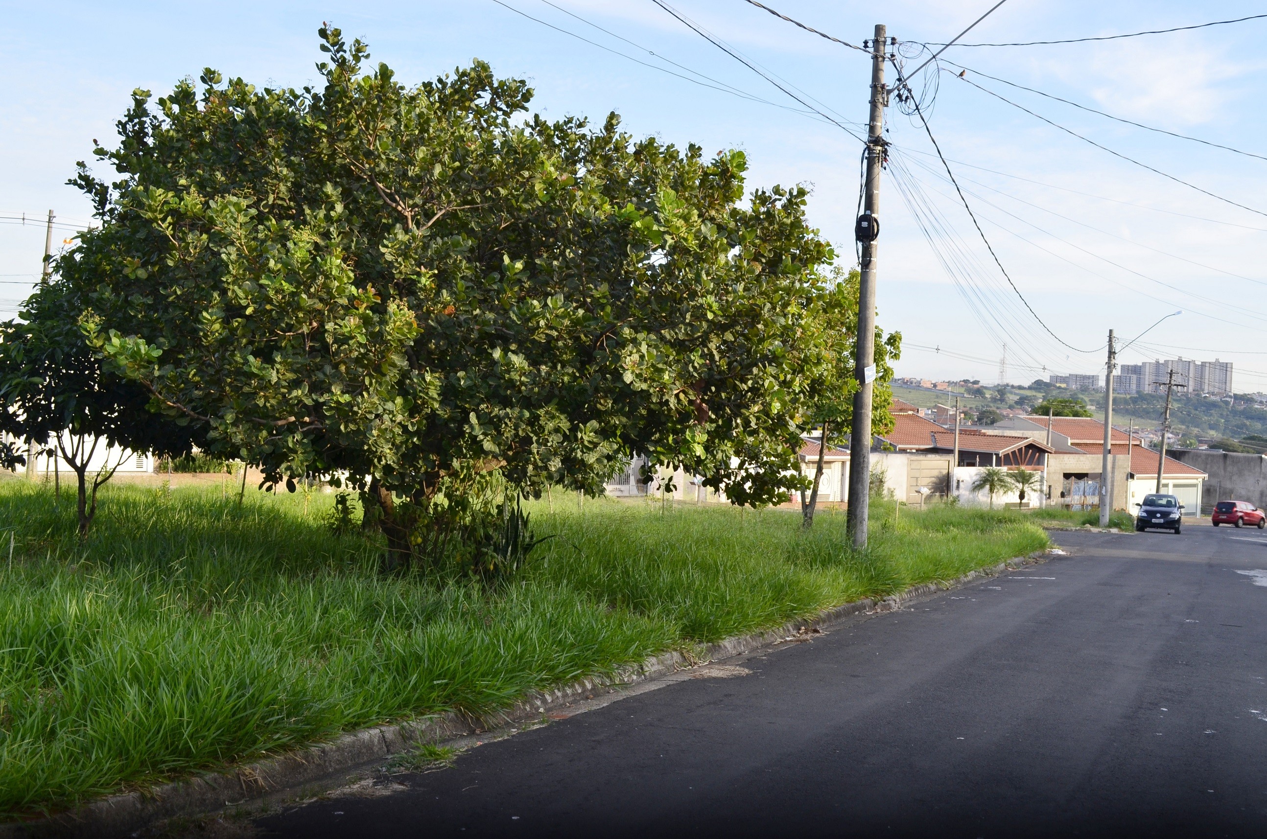 201959_Praça Campos Verdes 09.05.2019
